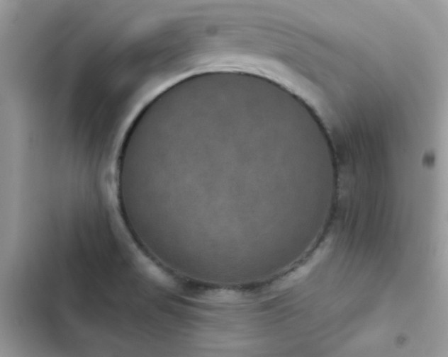 X0000103951517200809191429
