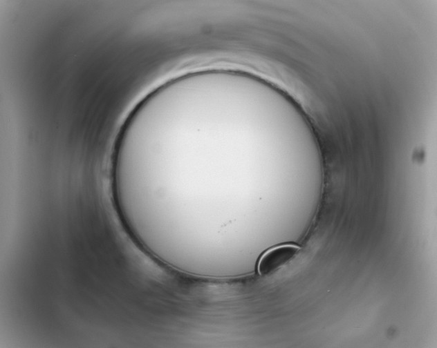 X0000103951518200809191429