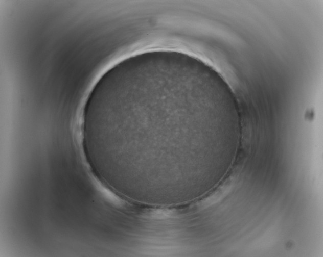 X0000103951519200809191429