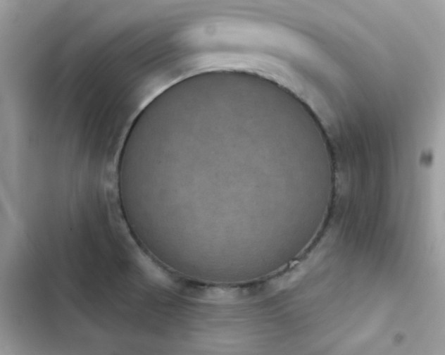 X0000103951521200809191429