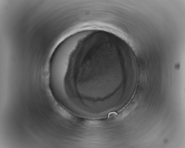 X0000103951522200809191429