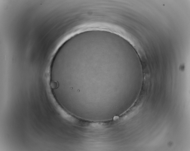 X0000103951523200809191429