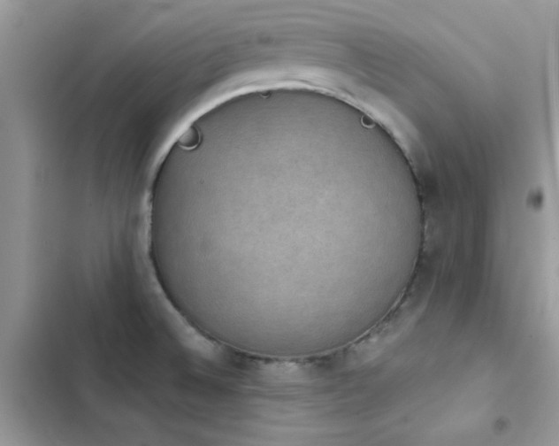 X0000103951524200809191429