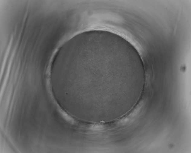 X0000103951525200809191429