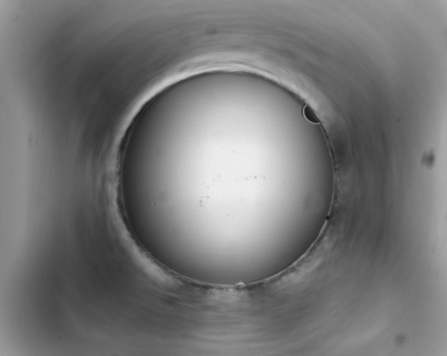 X0000103951526200809191429