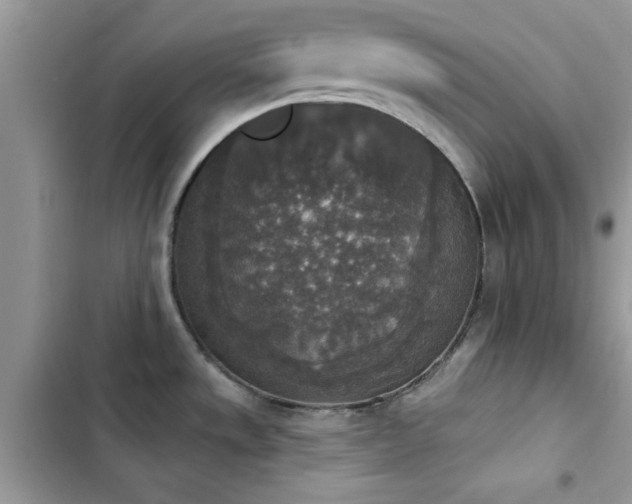 X0000103951533200809191429