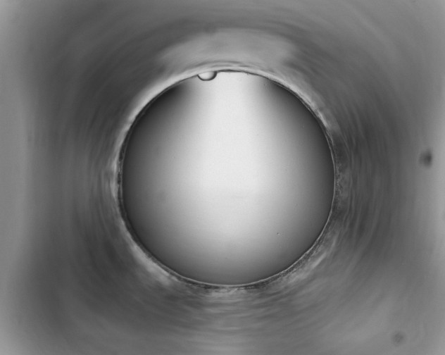 X0000103951535200809191429