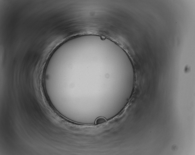 X0000103950001200809261758