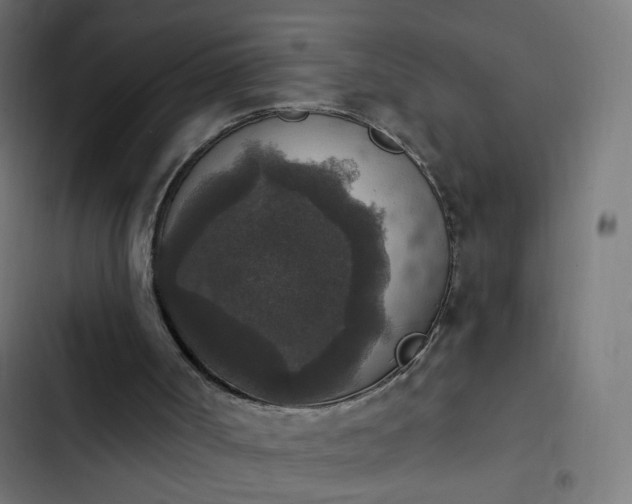 X0000103950002200809261758