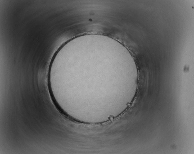 X0000103950003200809261758