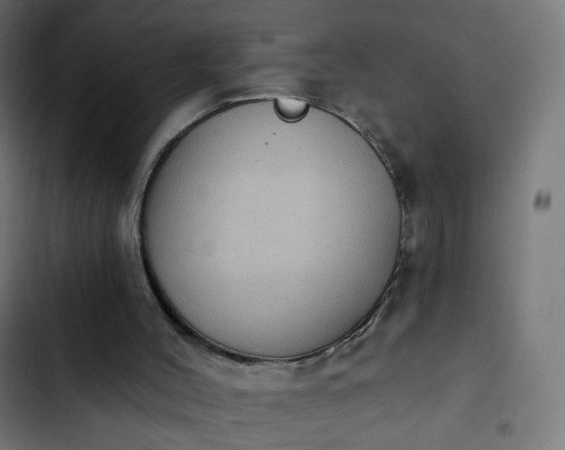 X0000103950004200809261758