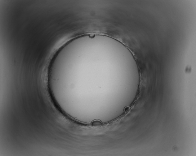 X0000103950005200809261758