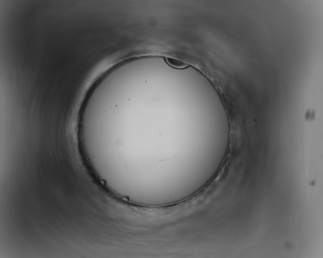 X0000103950006200809261758