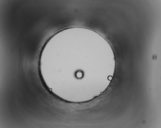 X0000103950007200809261758