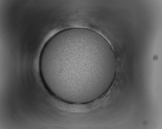 X0000103950008200809261758