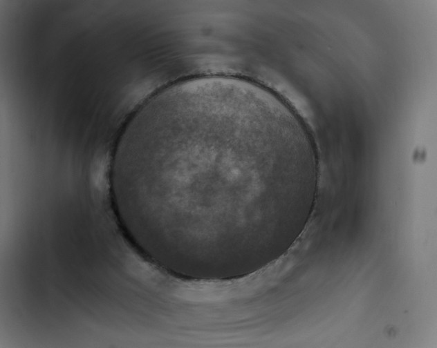 X0000103950009200809261758