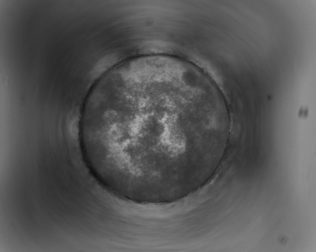 X0000103950010200809261758