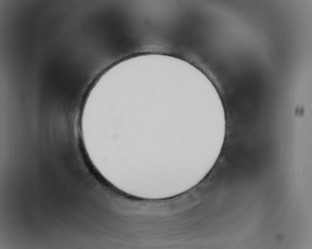 X0000103950011200809261758