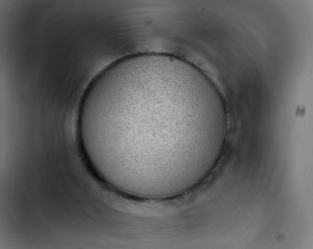 X0000103950012200809261758