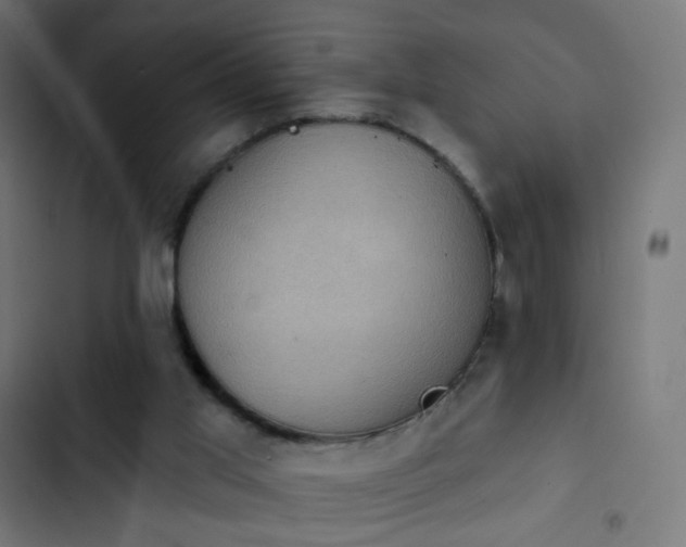 X0000103950013200809261758