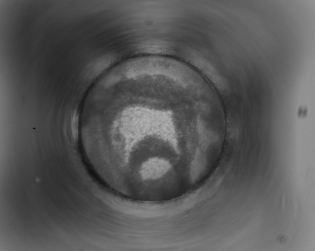 X0000103950014200809261758