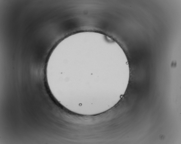 X0000103950015200809261758