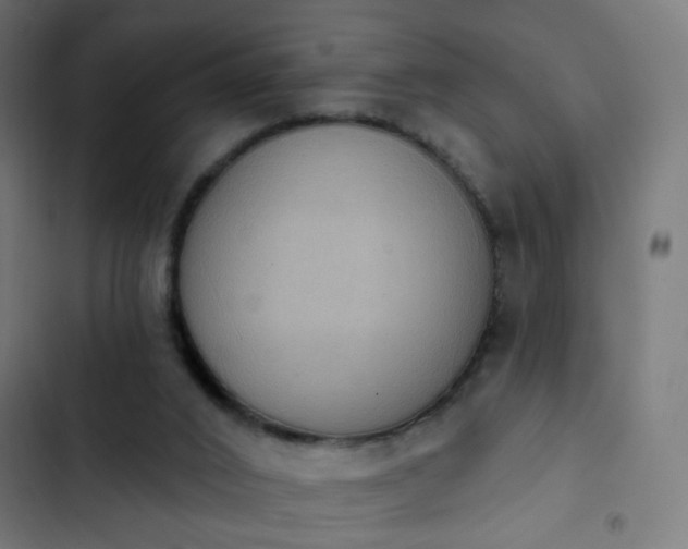 X0000103950016200809261758