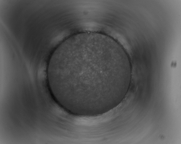 X0000103950017200809261758