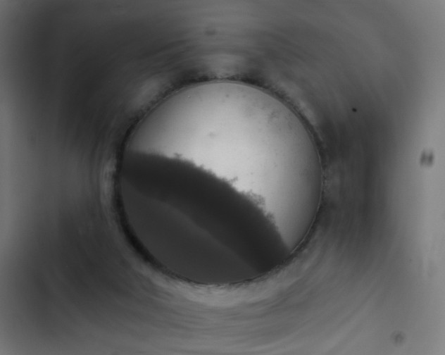 X0000103950018200809261758