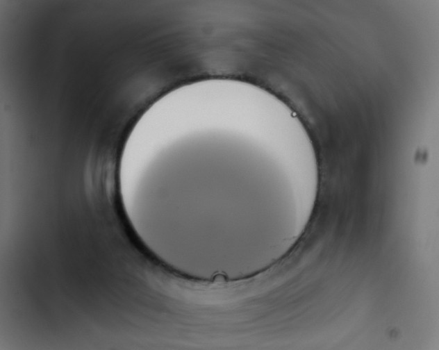 X0000103950019200809261758