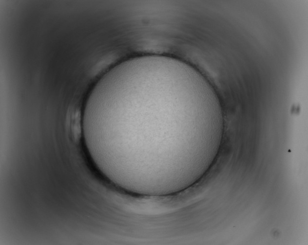 X0000103950020200809261758