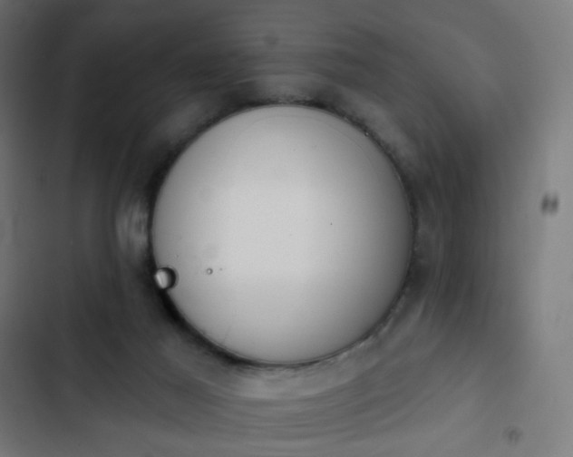 X0000103950021200809261758