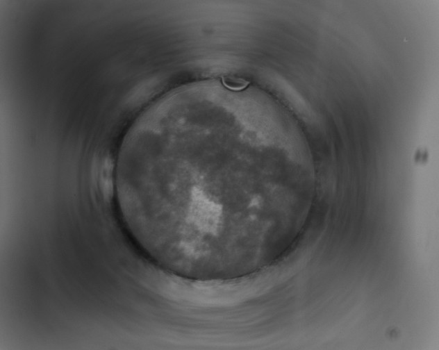 X0000103950022200809261758