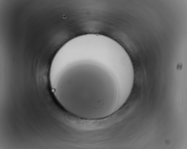 X0000103950023200809261758