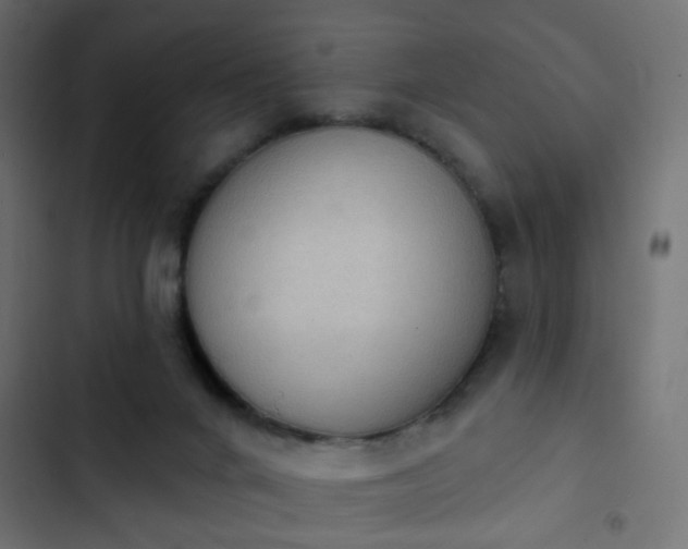 X0000103950024200809261758