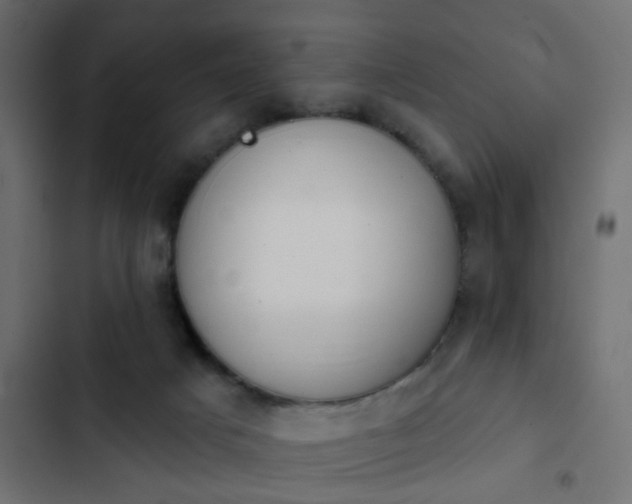 X0000103950025200809261758