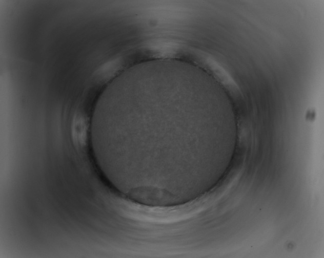 X0000103950026200809261758