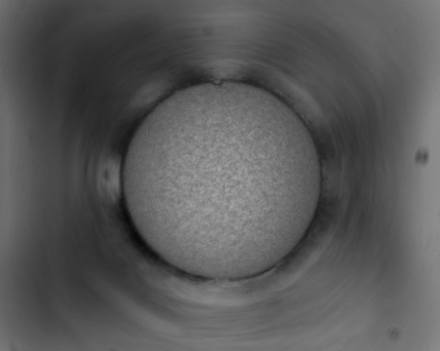 X0000103950028200809261758