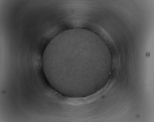 X0000103950029200809261758