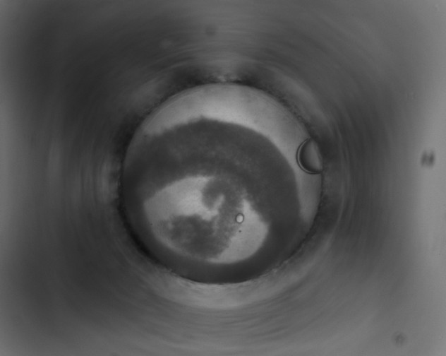 X0000103950030200809261758