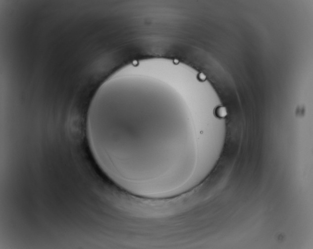 X0000103950031200809261758