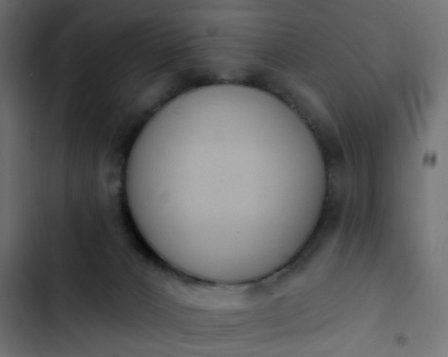 X0000103950032200809261758