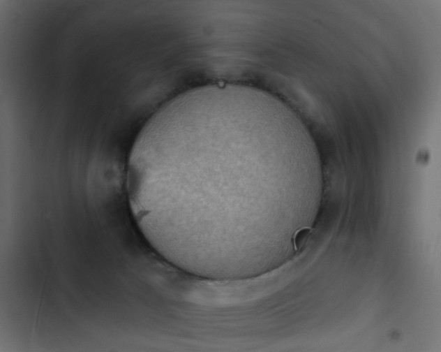 X0000103950033200809261758