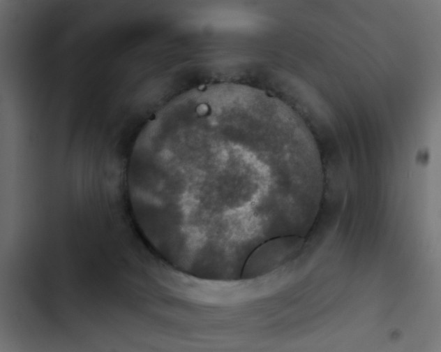 X0000103950034200809261758