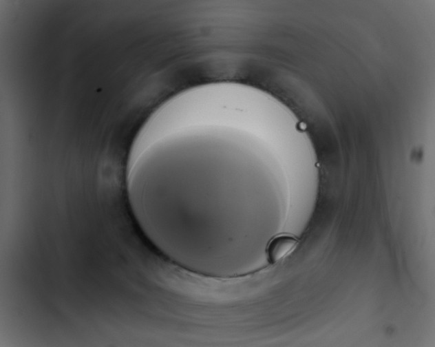 X0000103950035200809261758