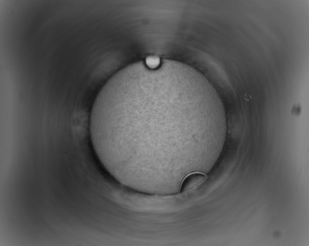 X0000103950036200809261758