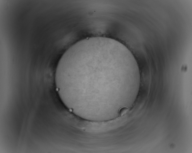 X0000103950037200809261758