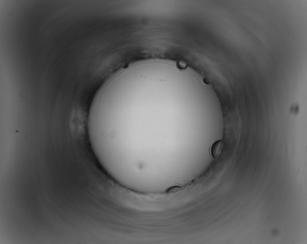 X0000103950038200809261758