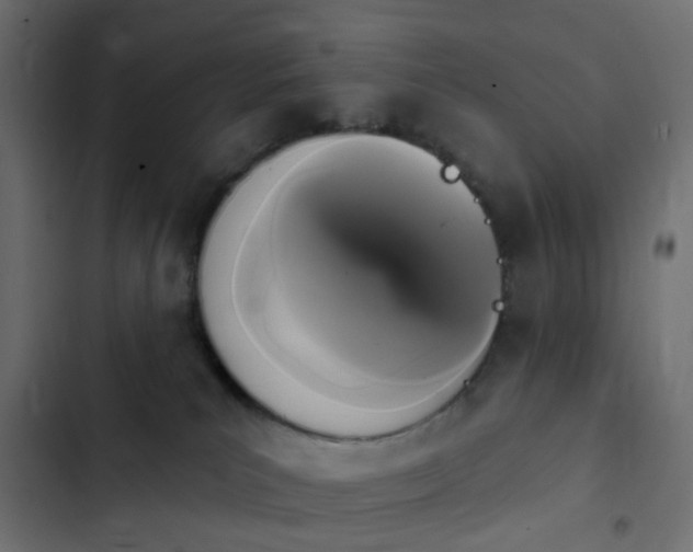 X0000103950039200809261758