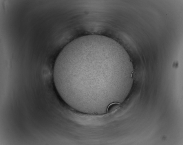 X0000103950040200809261758